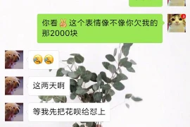 长沙工作催收永雄：揭秘催收行业的真实面貌