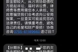 闪电虎催收猛犸：揭秘现代催收界的“黑科技”与合规之路