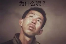 创业后要账之路，挑战与机遇并存