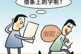 打了网贷公司要账的人，揭秘网贷催收背后的真相