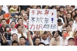 白毛毛要账，揭秘欠款催收中的法律与技巧