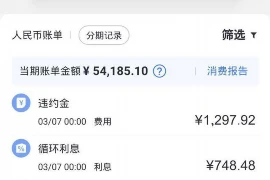要账信息平台怎么做，构建高效债务回收解决方案