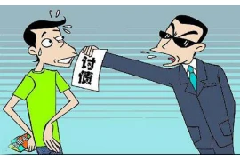 北野武要账，揭秘日本著名导演的债务风波