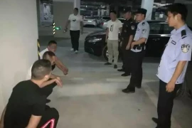 马伊琍要账要到牛，娱乐圈中的法律智慧与舆论风暴