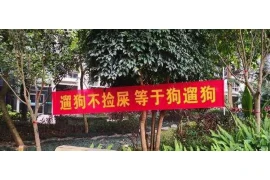 淘宝疲劳药要账号——揭秘网络疲劳药交易真相