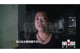 职业要账公司,债务催收领域的专业守护者 职业要账公司,债务催收领域的专业守护者
