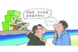 北京专业要账公司，高效解决欠款难题的利器