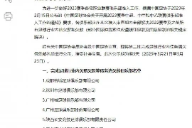 雷霆要账公司：债务催收领域的“黑衣骑士”