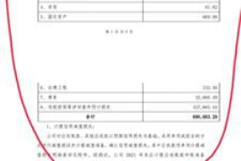 黑社会杀人要账：揭开犯罪背后的真相