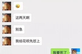银行债务催收：问题与对策