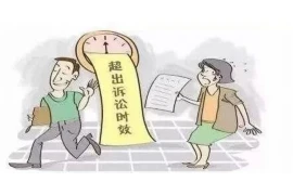 迪拜手把手教你要账